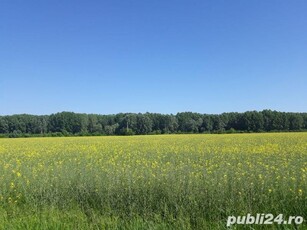 vand teren autostrada A3 - nod rutier - Gherghita