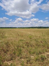 vand teren CIHEI zona apateului