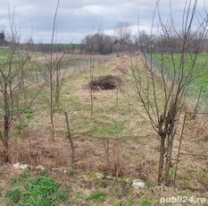 Vând teren intravilan 940mp in Ictar-budinti, Timiș,la 12000 .