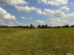 Vând teren intravilan-Lăpușel, Maramureș