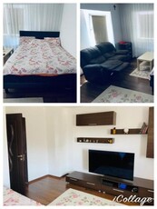 APARTAMENT 1 CAMERA, DECOMANDAT, RENOVAT, BLOC CU LIFT, PACURARI