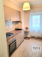 Inchiriere Apartament Nicolina 1 Camere