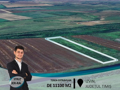 Teren extravilan de 11100 m2,în Izvin(ID:28936)