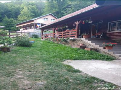 Casa de vacanță In Satul de Vacanță Pădurea Neagra