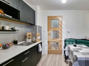 Apartament 2 camere, etaj 1, centrala proprie, zona Calea Lipovei