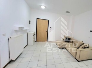 Apartament open space cu 2 camere si curte de 150 mp Dumbravita