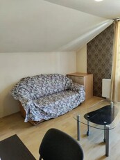 De vanzare apartament cu o camera in Manastur