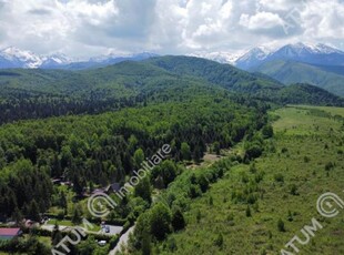 Teren intravilan 1000 mp de vanzare pe Valea Avriguluiu in Loc Avrig