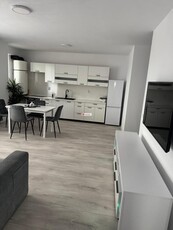 Apartament ultramodern 2 camere, etaj 1, complet mobilat si utilat nou, bloc nou !