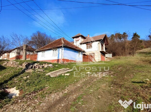 Casa de vanzare 9 incaperi, vedere panoramica, Sebis