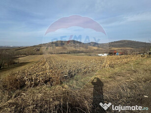 Teren 500mp Sibiu / Strada Gorunului