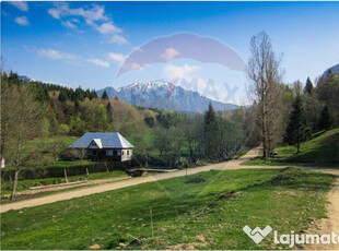 Teren 6000 mp, Vama Buzaului - vedere către Ciucaș