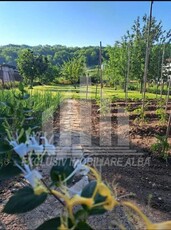 Teren intravilan de vanzare, Ciugud