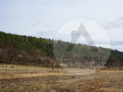 Vând teren intravilan Agârbiciu cu casa demolabila