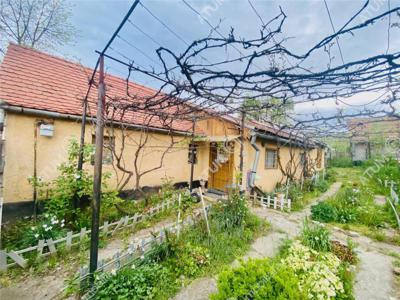 De vanzare casa individuala cu 2500 mp teren in Rusi langa Sibiu