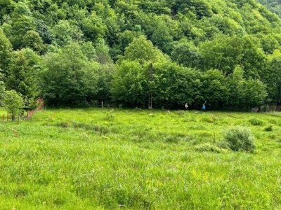 Oaza de liniste in Marisel! Teren intravilan , Cluj