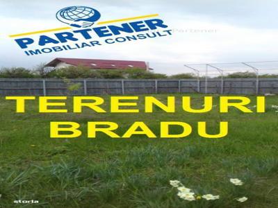 Terenuri Bradu, diverse suprafete