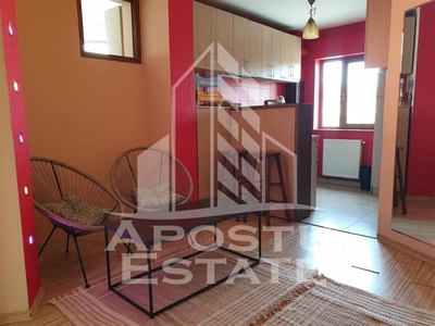 Apartament cu 2 dormitoare spatios, centrala proprie, in zona Balcescu