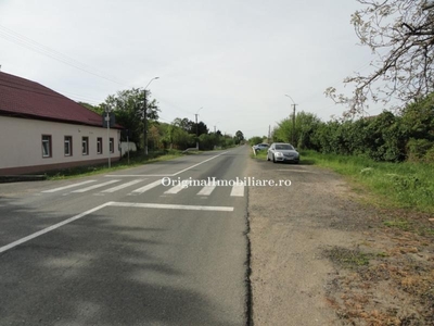 Casa din caramida pe Drumul Vinului in Paulis, teren aferent 3.956 mp