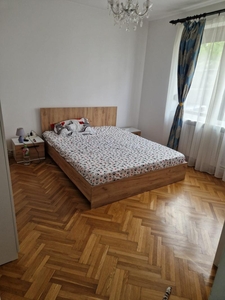 Casa Situata In Zona Parcul Tineretului , 234 Mp , 619 Mp Teren