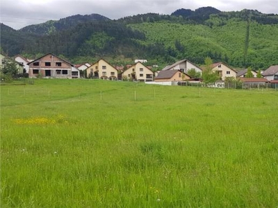 FILM! Cu vedere spre verdele padurii, 750mp teren, zona Bunloc, Brasov