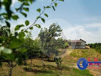 ID 6624 EXCLUSIVITATE - Casa de tip D+P in MALCOCI