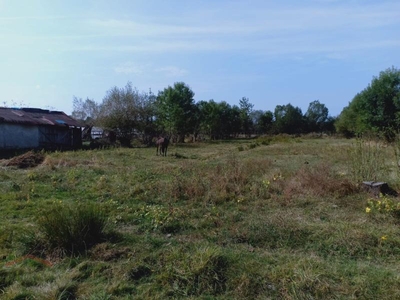 Loc de casa in satul Pescari