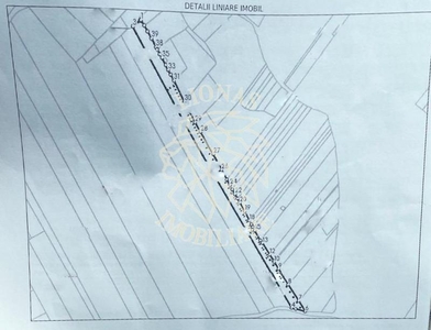 Teren 7170 mp - ideal investitie - Zona Cighir