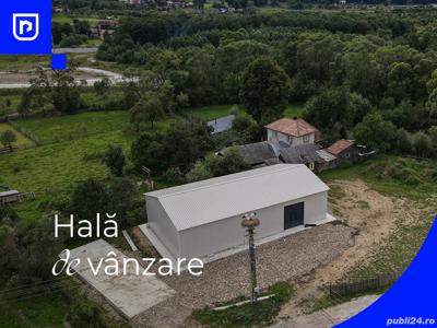 Hala Metalica - Vatra Moldovitei | BUCOVINA