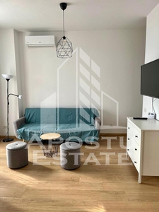 Apartament cu o camera, semidecomandat, in zona Take Ionescu