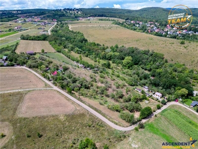 FILM! 4.500 mp,extravilan,livada,in Sancraiu,Covasna,acces facil,pomi fructiferi,