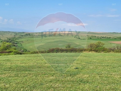 Teren Agricol, Extravilan vanzare, in Sibiu, Casolt