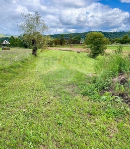 Teren Agricol, Intravilan vanzare, in Maramures, Berbesti