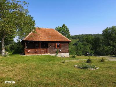 Casa traditionala de lemn, teren 1 ha, com. Bratca, jud. Bihor