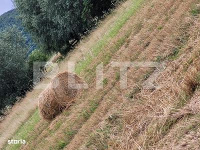 Păstrăvărie Fantana Mare/ Suceava