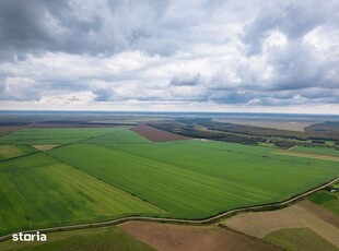 Teren arabil de 985 hectare în Bihor