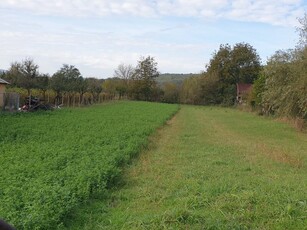 Teren Mierea, vand teren cu o suprafata de 2000 mp in Mierea