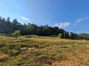 Cristian, Brasov, Romania