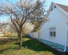 De vanzare casa cu gradina in Batania (30 km de Arad)