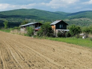 Urgent Casa cu teren 4000mp