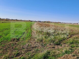 Teren 4000 mp Bradu, zona Primărie