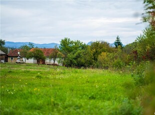 Teren intravilan pentru cabanâ.