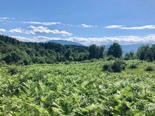 Un deal de vanzare in Titesti, Valcea