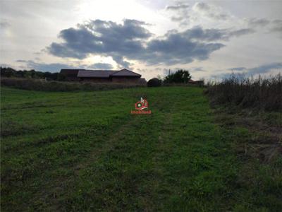 Teren intravilan in Deusu, comuna Chinteni, la strada principala