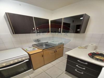 Apartament 1 camera inchiriere in bloc de apartamente Cluj-Napoca, Zorilor