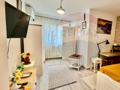 Apartament cu 1 camere de închiriat în zona Costin Georgian