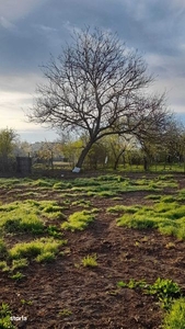 Drumul Taberei - Targu Neamt - apropiere parc