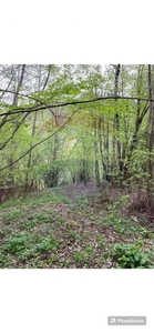 Teren Pădure, Extravilan vanzare, in Cluj, Baisoara