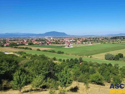 1.600mp intravilan,recomandat investitie/rezidential/mic proiect imobiliar,Livada Sanpetru,Brasov