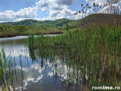 Balta de pescuit de vanzare, 21700 mp,Tebea, jud. Hunedoara